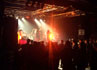 fumulubudu en concert
